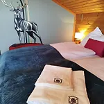 Villa Olmhaus Mit Sauna Und E-bikes Obergösel