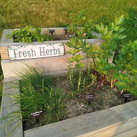Villa Olmhaus Mit Sauna Und E-bikes Obergösel