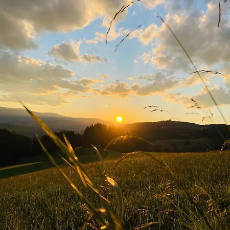 Olmhaus Mit Sauna Und E-bikes Villa Obergösel