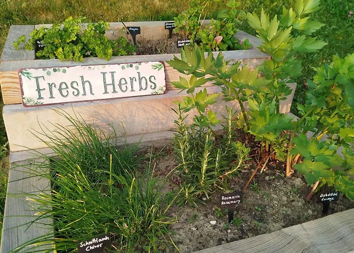 Willa Olmhaus Mit Sauna Und E-bikes Obergösel