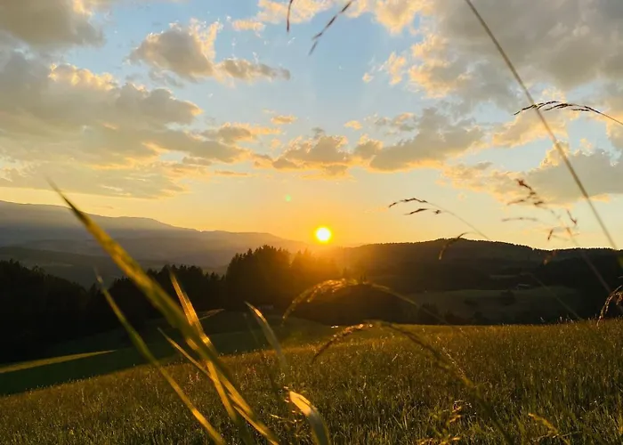 Olmhaus Mit Sauna Und E-bikes Willa Obergösel