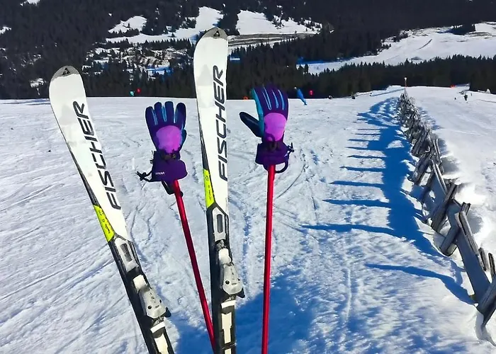 Willa Olmhaus Mit Sauna Und E-bikes Obergösel